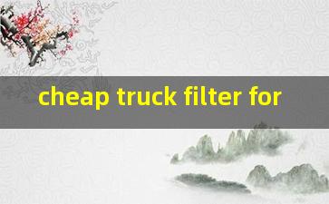 cheap truck filter for